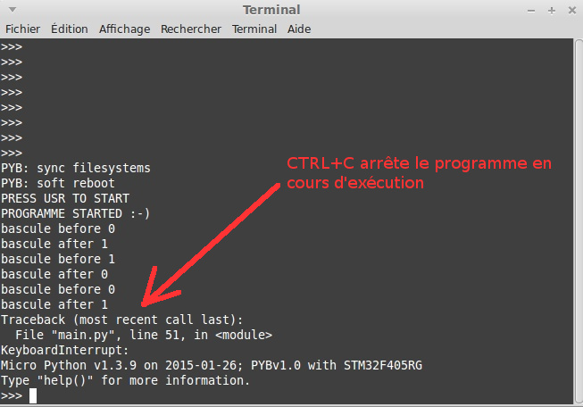 Micro-python-hack-debug-halt-program.jpg