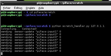 PiFace-Scratch-Demarrer-02.jpg