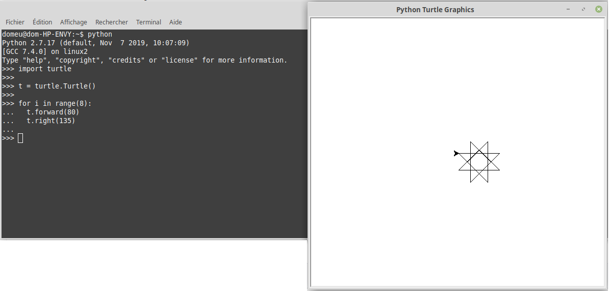 Turtle-sous-Linux.png